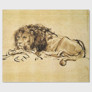DE CAPE LION LYING DOWN, door Rembrandt Sepia, Bla Cadeaupapier
