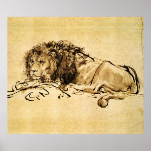 DE CAPE LION LYING DOWN, door Rembrandt Sepia, Bla Poster