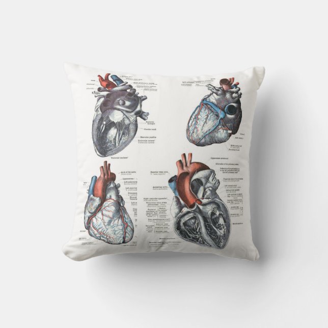 de "Cardioloog's Pillow" Kussen (Voorkant)