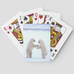 De Cartes Jeu d'ours polaire