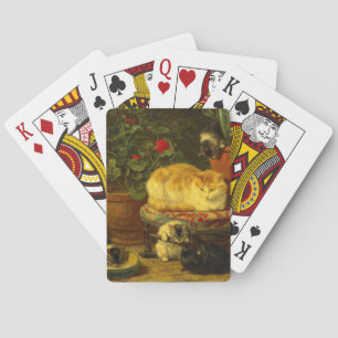 De Cartes Les chatons en jeu