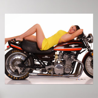 De cassie Z1 en model Poster