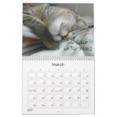 DE CAT-kalender BEKIJKEN Kalender (Mar 2027)