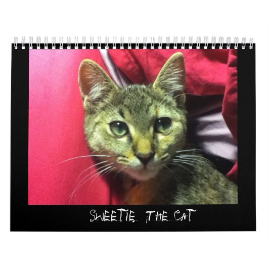 DE CAT-kalender BEKIJKEN Kalender (Hoes)
