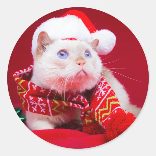 De Cat Mini Round Sticker uitproberen (Voorkant)