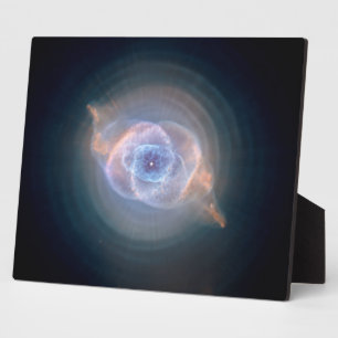 De Cats Eye-nevel 10x8 Fotoplaat