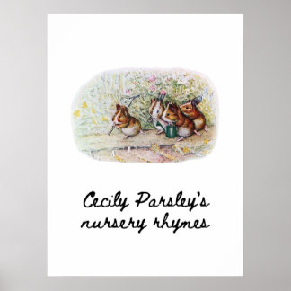 De cavia tuinders poster