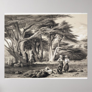 De Cedars van Libanon, gegraveerd door Freeman (se Poster