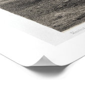 De Cedars van Libanon, gegraveerd door Freeman (se Poster (Hoek)