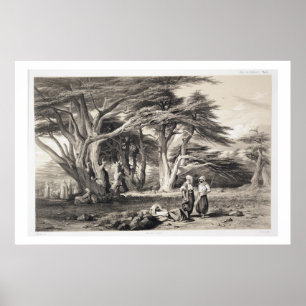 De Cedars van Libanon, gegraveerd door Freeman (se Poster