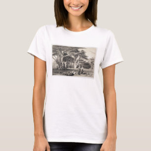 De Cedars van Libanon, gegraveerd door Freeman (se T-shirt