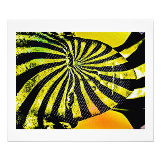 De Changeling Foto Afdruk