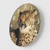 De Cheetah Grote Klok (Hoek)