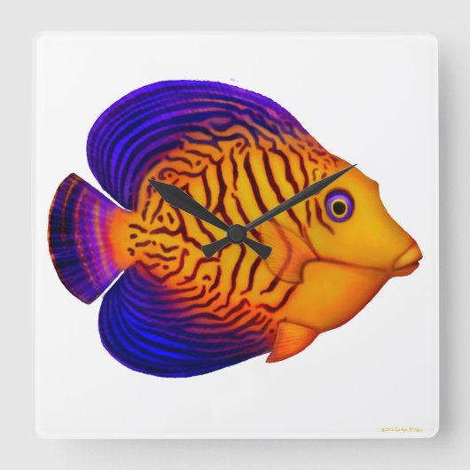 De Chevron Tang Reef Fish Wall klok (Voorkant)