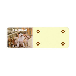 De Chihuahua Gang Etiket