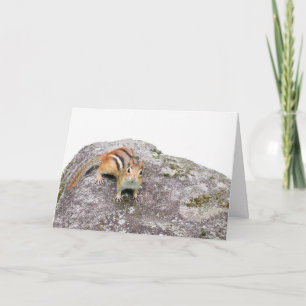 De chipmunk kaart