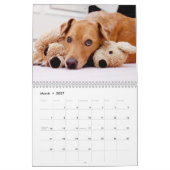De Chuck Calendar van 2013 Kalender (Mar 2027)