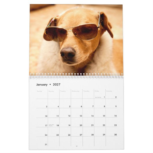 De Chuck Calendar van 2013 Kalender (Jan 2027)