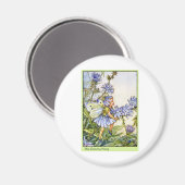 De cichoreifee magneet (Voorkant / Achterkant)