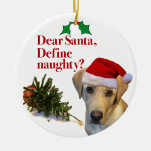 De cirkelvormgeving van het Naughty Lab Keramisch Ornament