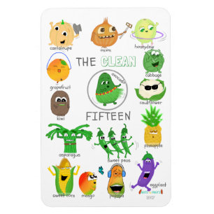 De Clean 15 geïllustreerde lijst - 2017 (gelabeld) Magneet