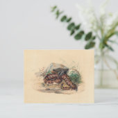 De Clotho van Joseph Wolf Briefkaart (Staand voorkant)