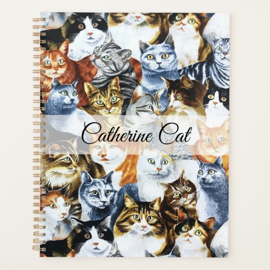 De Clowder van de CATS Planner (Voorkant)