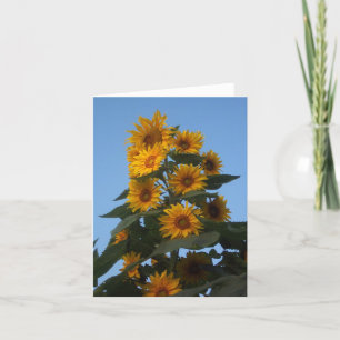 De Cluster Notecard van de zonnebloem Kaart