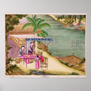 De cocons sorteren poster