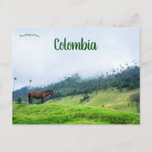 De Cocora vallei in Colombia Briefkaart