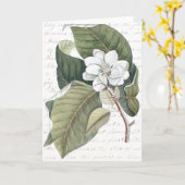 De Collage van de Magnolia van Catesby van het Kaart (Gele Bloem)