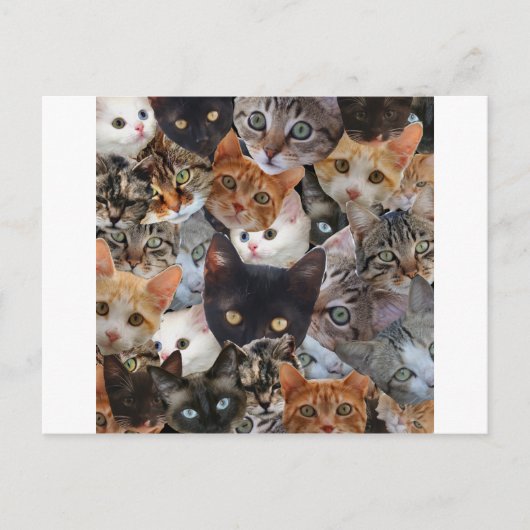 De Collage van het kat Briefkaart (Voorkant)