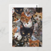 De Collage van het kat Briefkaart (Voorkant / Achterkant)