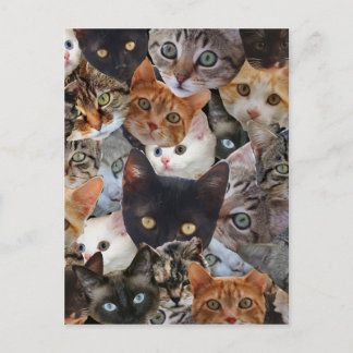 De Collage van het kat Briefkaart