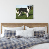 De Collie van de grens Canvas Afdruk (Insitu (Slaapkamer))