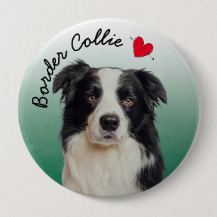 De Collie van de grens met groene gradiëntachtergr Ronde Button 4,0 Cm