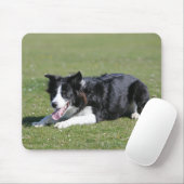 De Collie van de grens neer het Lagen Muismat (Met muis)