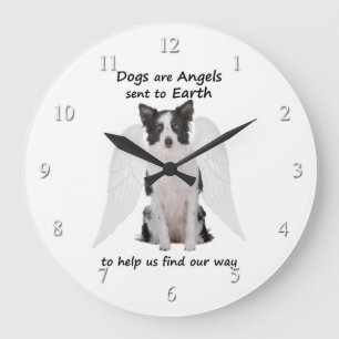 De Collies van de grens zijn Angels klok