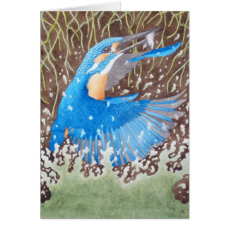 De Common Kingfisher