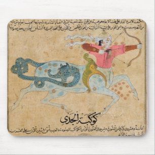 De constellaties van Sagittarius en Muismat