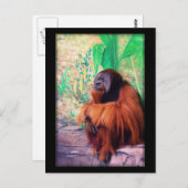 De contemplaar - Briefkaart (Voorkant / Achterkant)