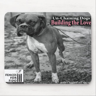 De Cooper-Muismat Muismat