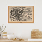 De Corella Poster (Keuken)