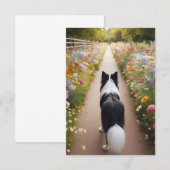 De Correspondance Bordure Collie carte à note plat avec enveloppe (Devant / Derrière)