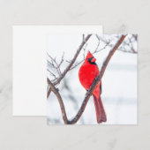 De Correspondance Cardinal d'hiver Carte pour notes plat (Devant / Derrière)