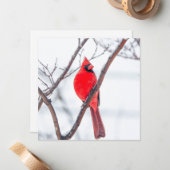 De Correspondance Cardinal d'hiver Carte pour notes plat (Devant/Arrière en situation)