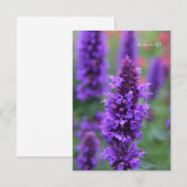 De Correspondance Carte Anise Hyssop Note (Devant / Derrière)