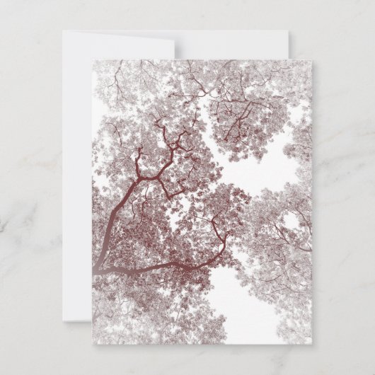 De Correspondance Carte des arbres 4 (Devant)