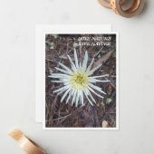 De Correspondance Carte Flat Note avec beauté nature (Devant/Arrière en situation)