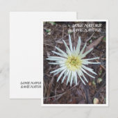 De Correspondance Carte Flat Note avec beauté nature (Devant / Derrière)